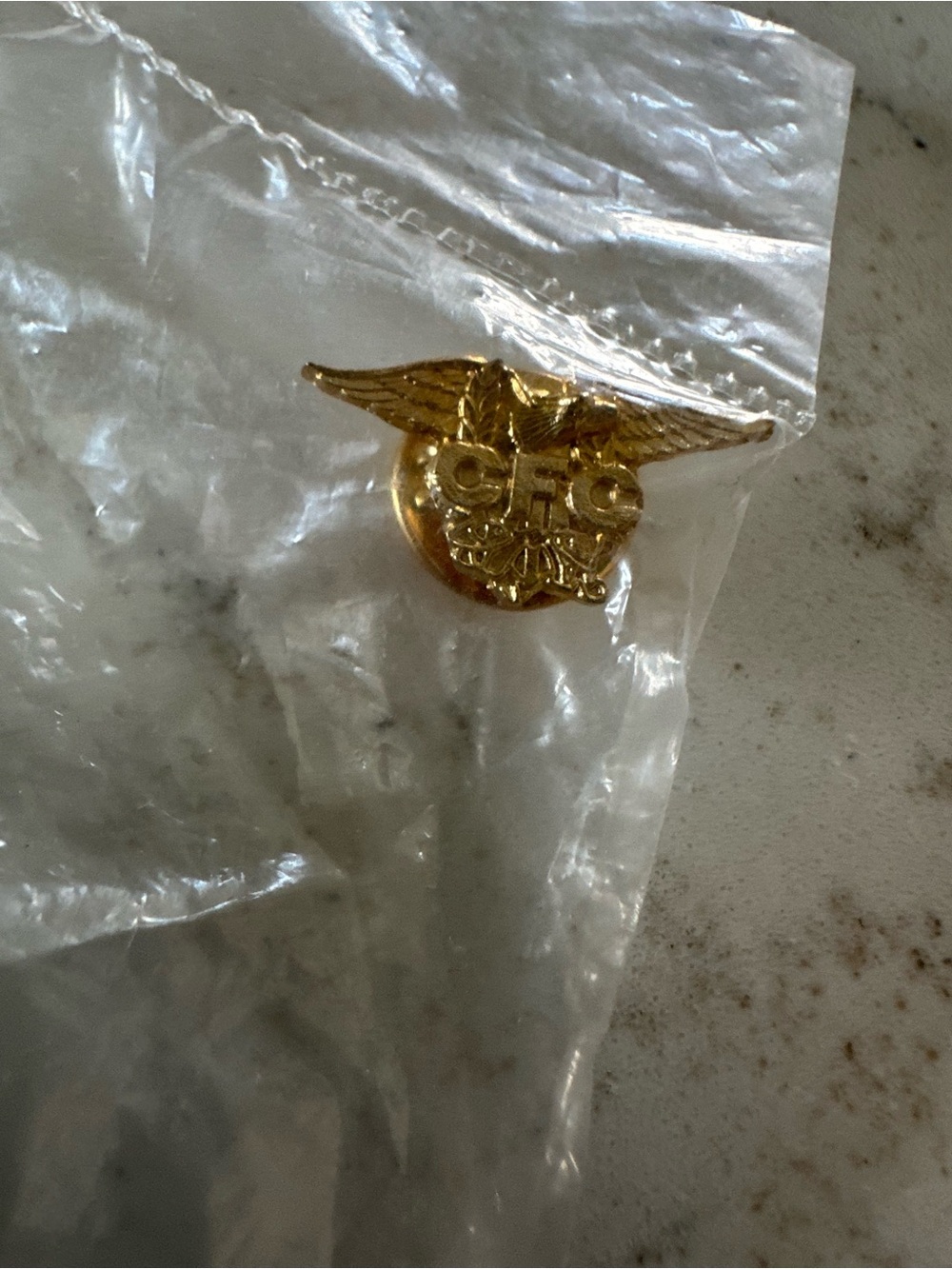 Gold Winged CFC Pin